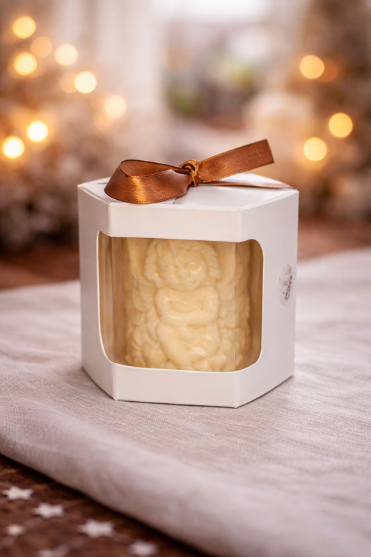 Beschermer van het Licht